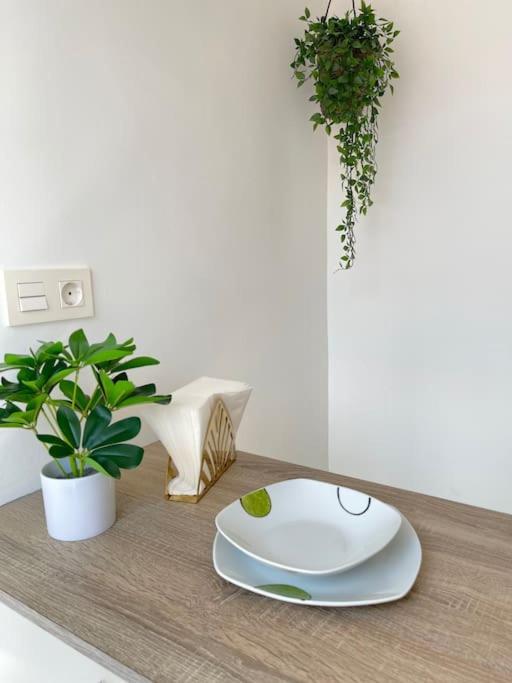 Atico Virgen Palma Appartement